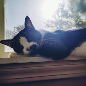 Meet your Posher, Isaac